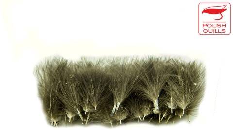 Polish Quills Natural CDC